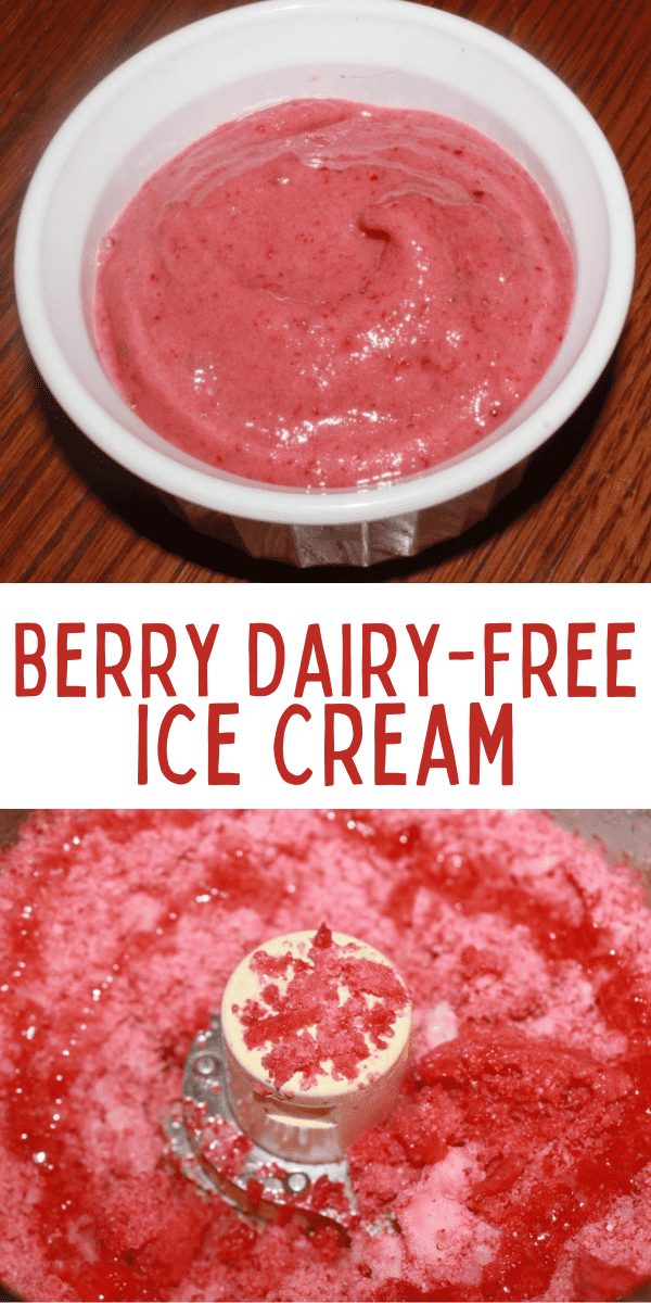 Berry Creamy Dairy-Free Ice Cream Recipe