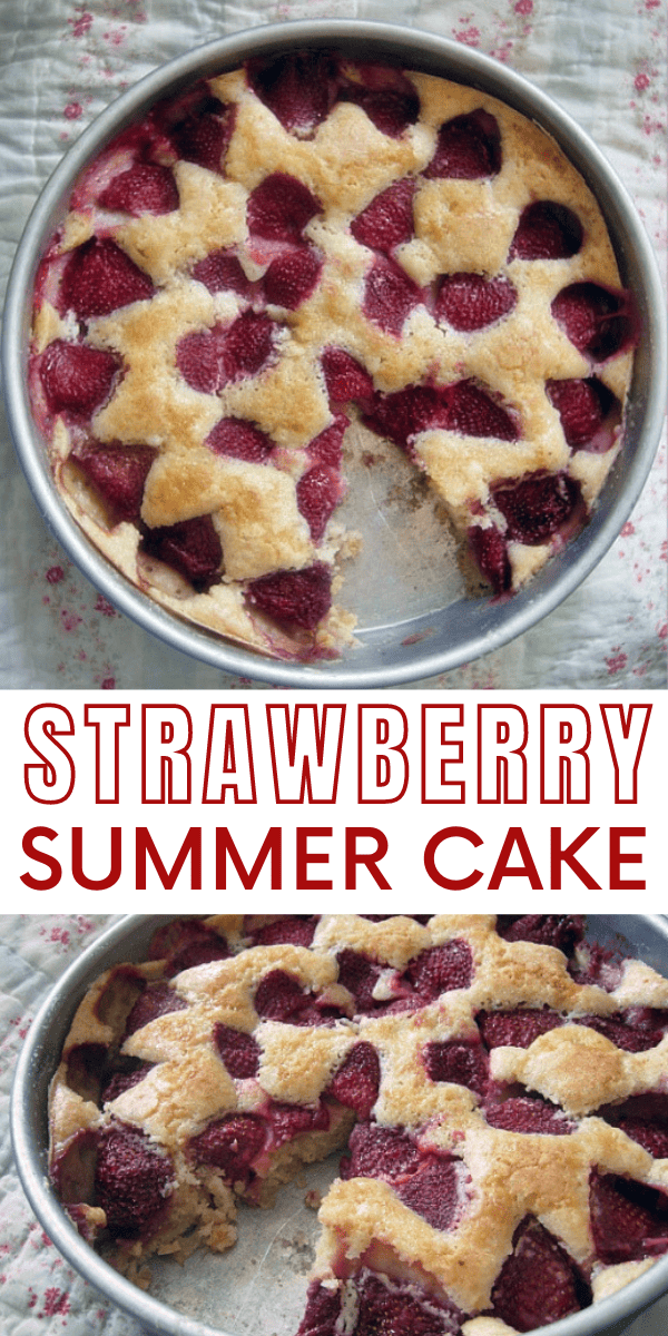 Easy Strawberry Summer Cake Recipe