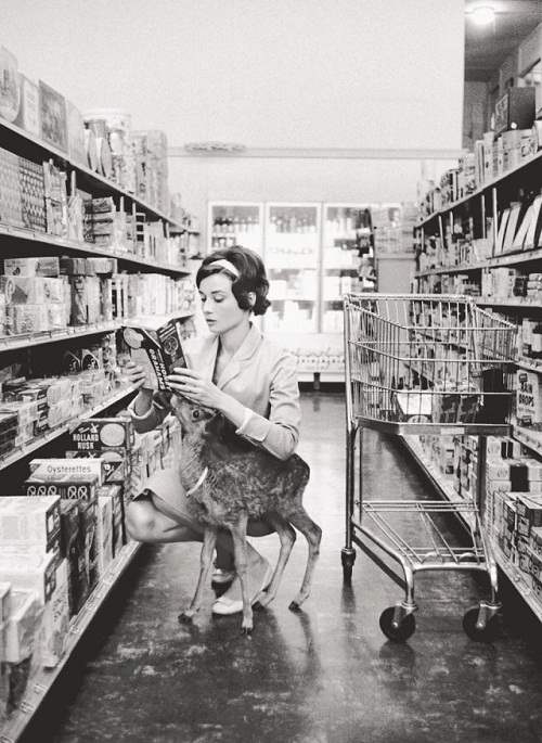 Audrey Hepburn Photo Black and White