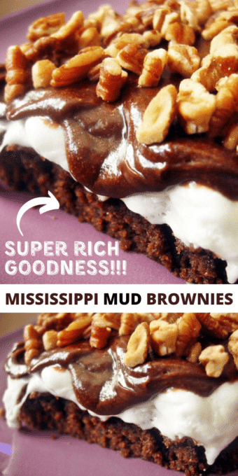 Easy Mississippi Mud Brownies Recipe - Mom Spark