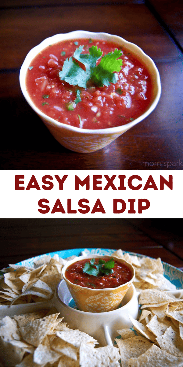 Easy Mexican Salsa Dip Recipe