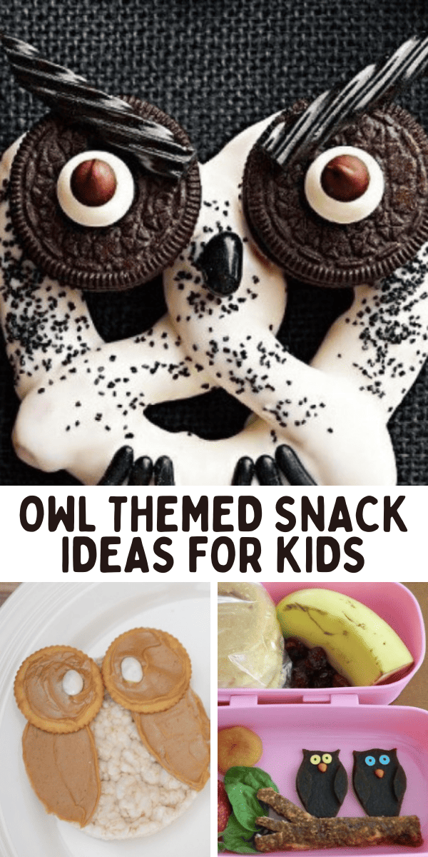 Owl Themed Snack Ideas for Kids