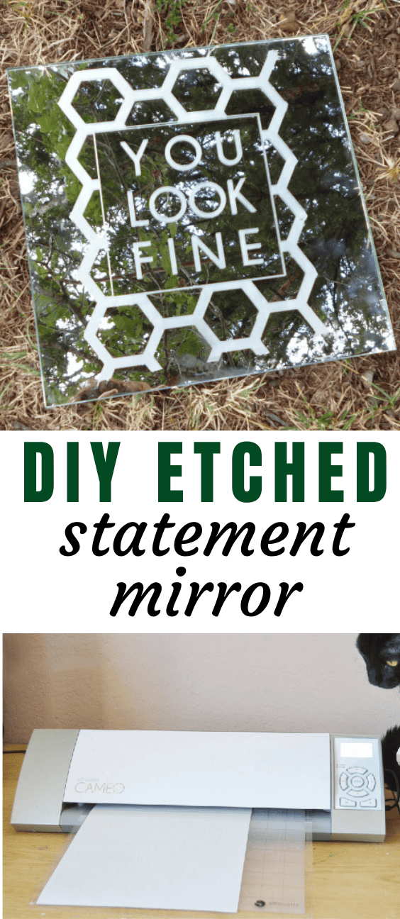 DIY Silhouette Etched Statement Mirror