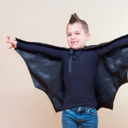 Bat Wing Costume
