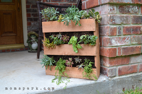 DIY Cedar Pallet Succulent Planter - Mom Spark - Mom Blogger