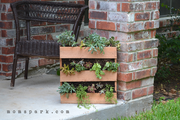 DIY Cedar Pallet Succulent Planter