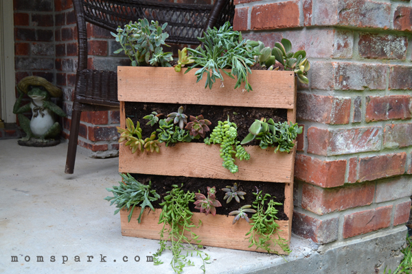DIY Cedar Pallet Succulent Planter
