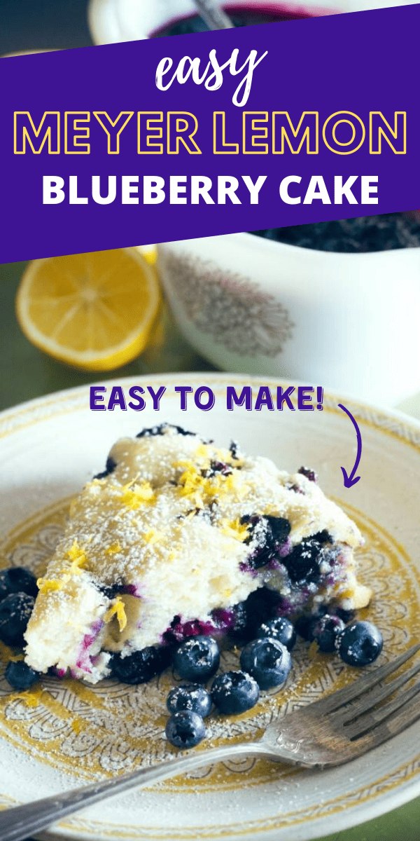 Easy Meyer Lemon and Blueberry Cake Recipe