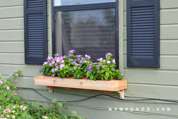 How to Make a DIY Window Flower Box from Scratch