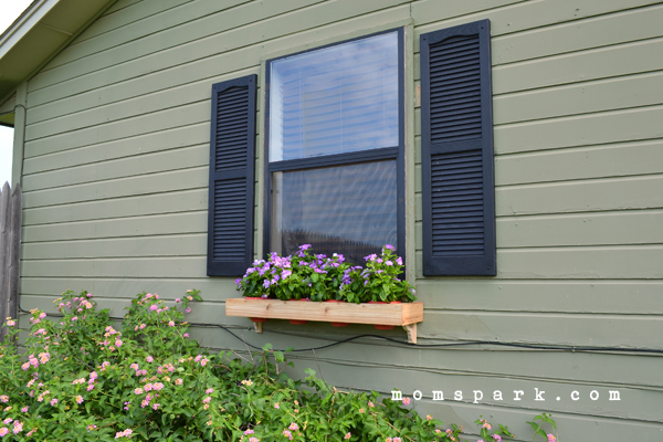 How to Make a DIY Window Flower Box from Scratch