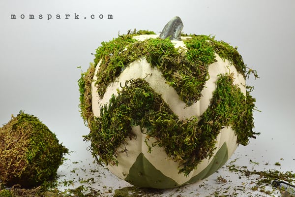 DIY Chevron Moss Pumpkin Tutorial