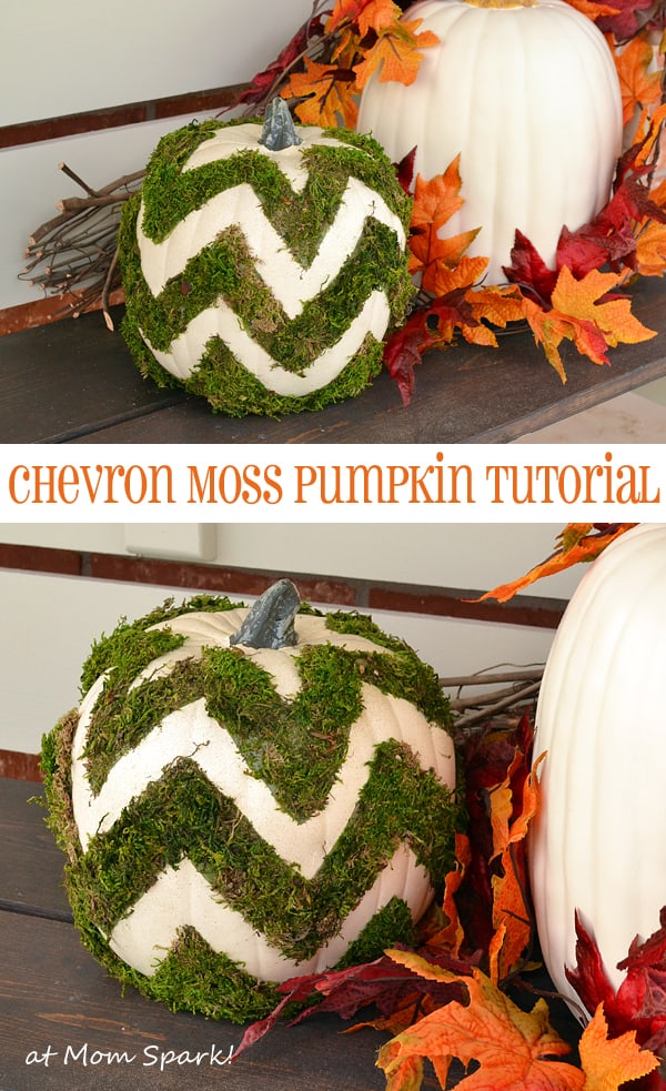 DIY Chevron Moss Pumpkin Tutorial