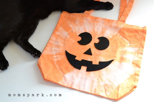 Trick or Treat Bags from Repurposed Totes