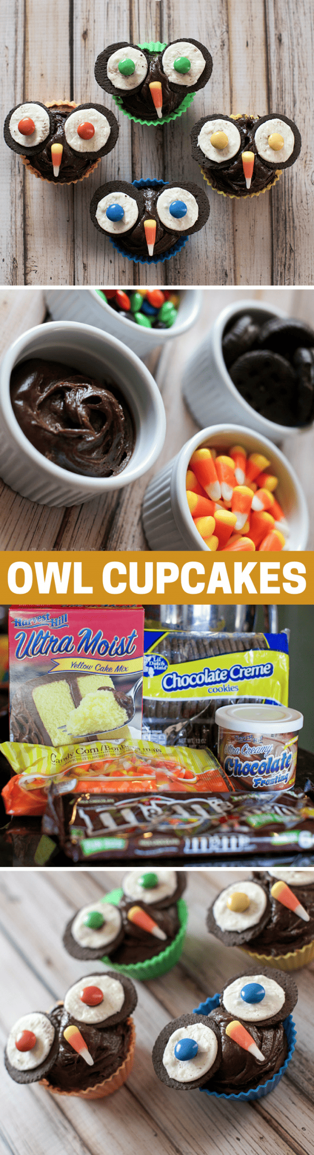 How to a Make Owl Cupcake Recipe for Fall and Halloween!