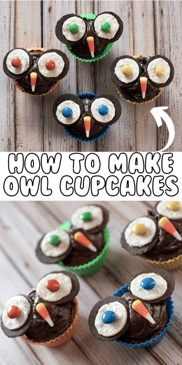 How to Make Owl Cupcakes for Fall and Halloween!