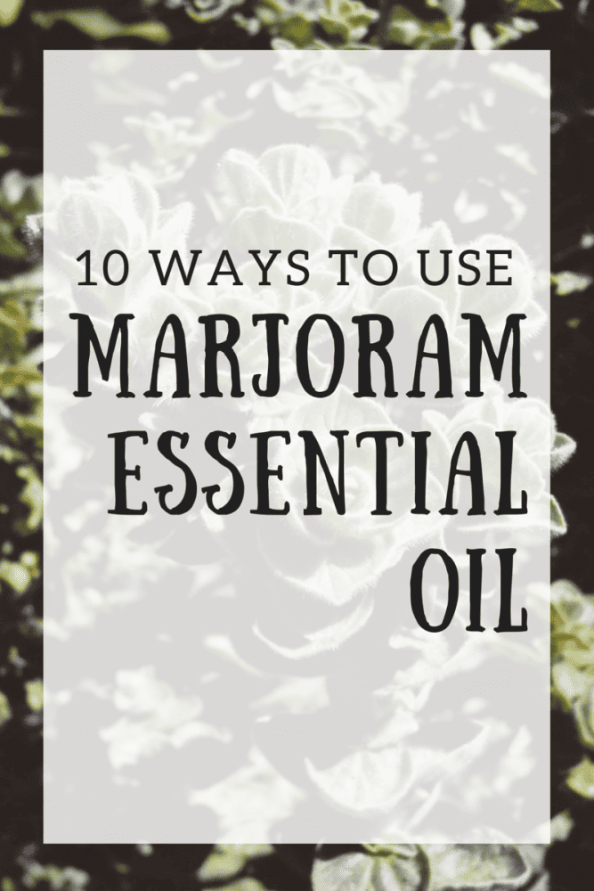 10 Ways To Use Marjoram Essential Oil Mom Spark