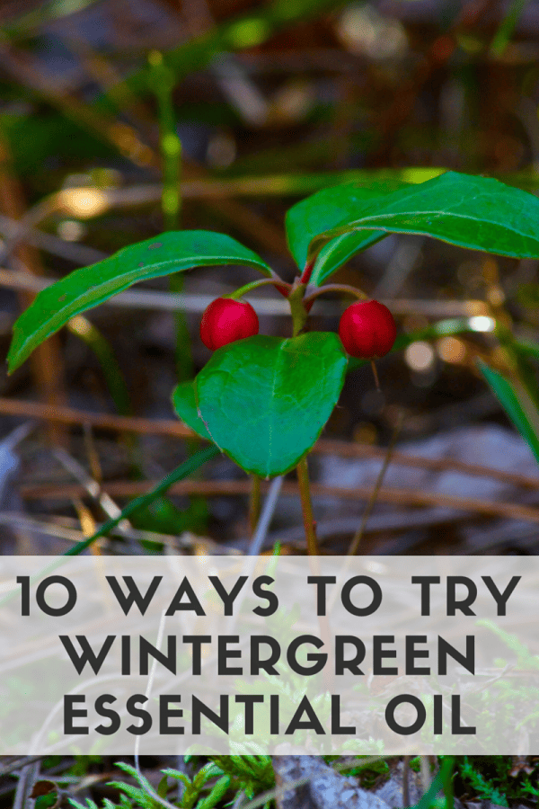 10 Ways To Try Wintergreen Essential Oil