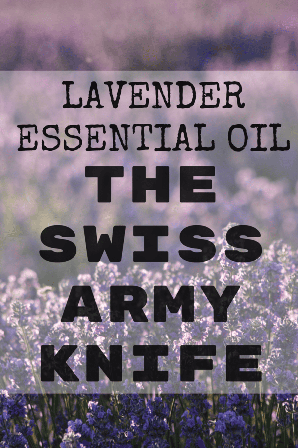 Uses for Lavender Essential Oil: The Swiss Army Knife