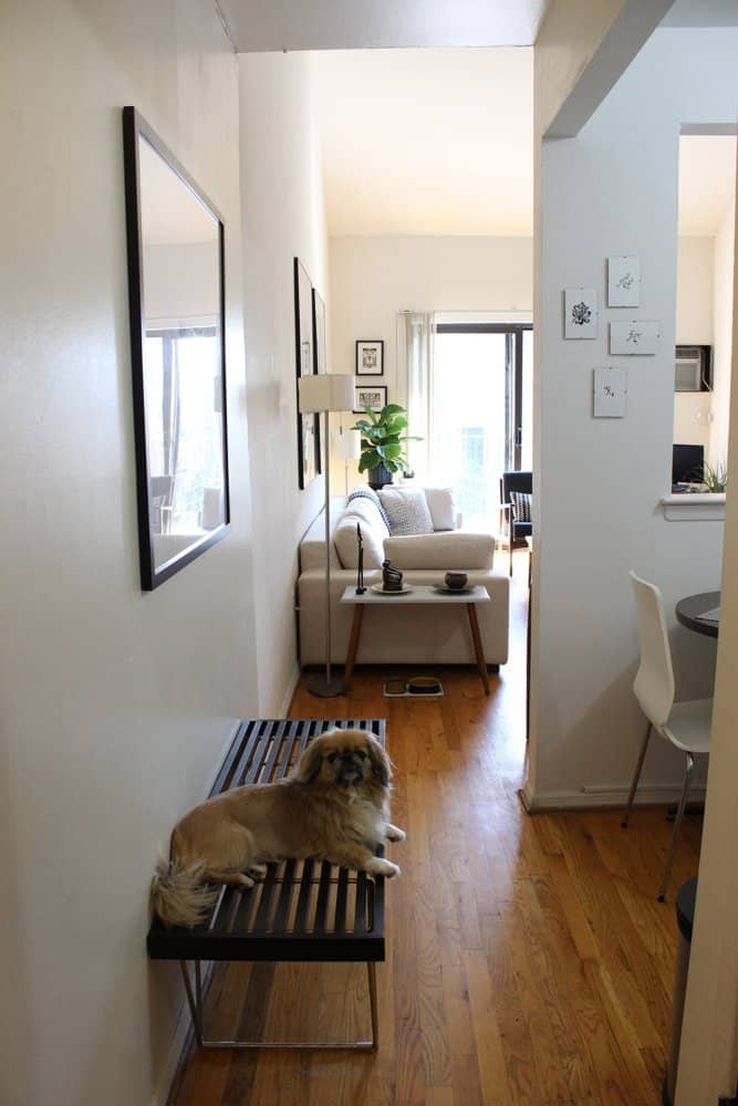 Small Apartment Tour Videos: A Guide to Maximizing Space