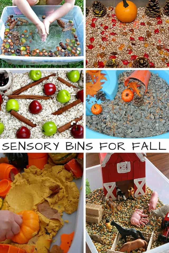 10 Sensory Bins For Fall
