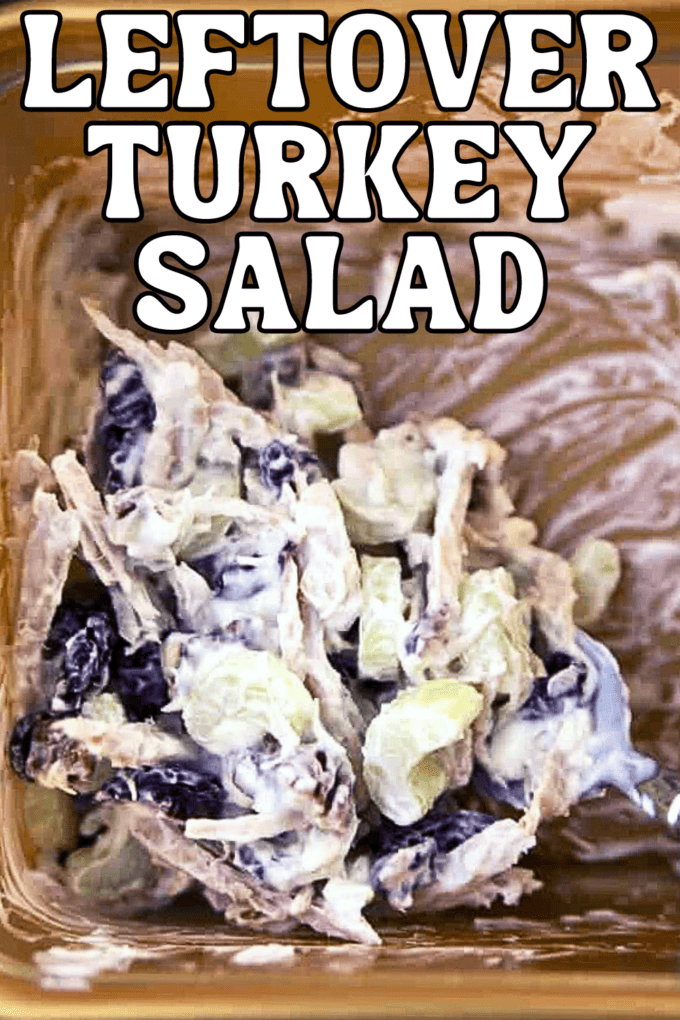 Holiday Leftover Turkey Salad Recipe