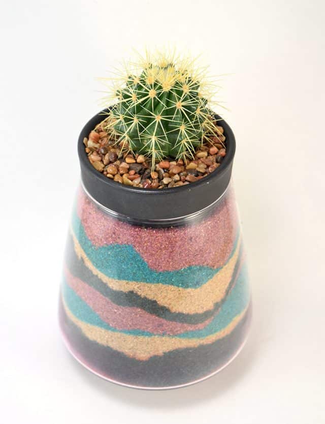 DIY Keepsake Cactus Sand Planter