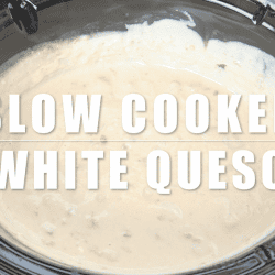 Crock-Pot® Slow Cooker White Queso Dip Recipe