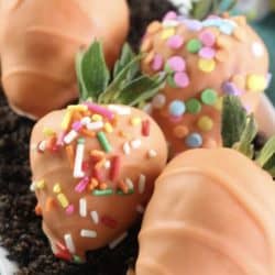 Spring Chocolate-Dipped Carrot Strawberries Recipe - This time of year makes me excited for all things bright and cheery, including the recipes I create. So, today's recipe is just that - springy, fun and DELICIOUS. Spring chocolate-dipped carrot strawberries! A fun recipe to make with the kids and oh-so-yummy for the whole family.