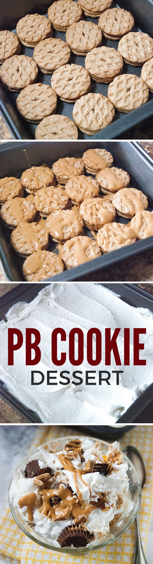 Easy Peanut Butter Cookie Dessert Recipe