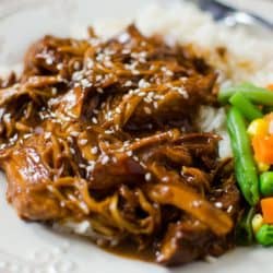 Slow Cooker Asian Honey Garlic Chicken Recipe! Is there anything better than the smell of dinner cooking low and slow in the Crock-pot? I say nope. Like this recipe for Asian Honey Garlic Chicken made in the slow cooker. Chicken breast that is slow cooked in a sweet and tangy sauce and then served over rice or noodles. Perfection!
