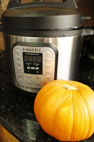 Instant Pot Pumpkin Puree Fall is the best time to bust out your instant pot. There are so many fall-inspired instant pot recipes for cozy, crisp autumn days.