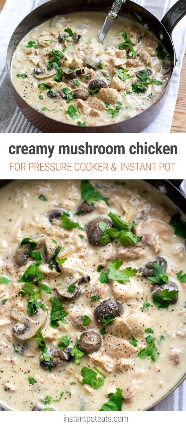 Instant Pot Creamy Mushroom Chicken Stew