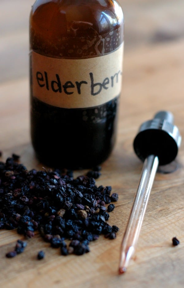How to Make Elderberry Tincture - 5 Elderberry Recipes to Boost Up Your Immunity System