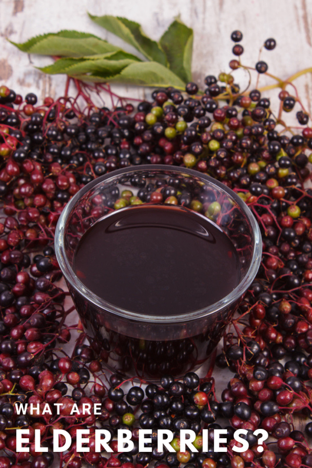 5 Elderberry Recipes to Boost Up Your Immunity System - "What is the deal with elderberries lately?" This is the question I asked myself the other day when I was perusing Pinterest and saw "elderberry" pop up my feed.Also, "what is elderberry?" That is the other question I asked myself. So, I naturally researched it because that is what I do.