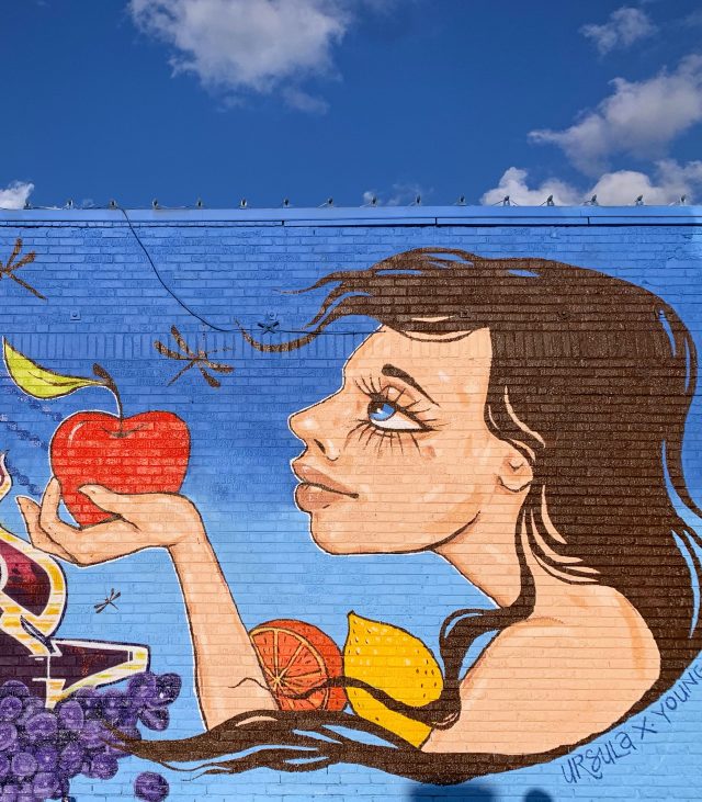 100+ Things to Do in Oklahoma City (OKC) by District: Plaza District Mural Walls