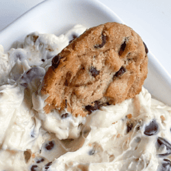 Chocolate Chip Cookie Dip Recipe (1)