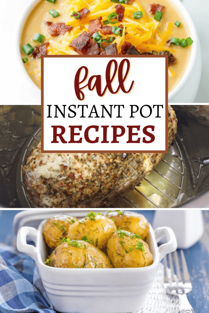 20 Fall Instant Pot Recipes