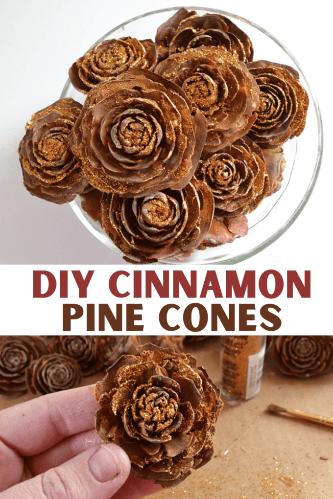 DIY Cinnamon Pine Cones