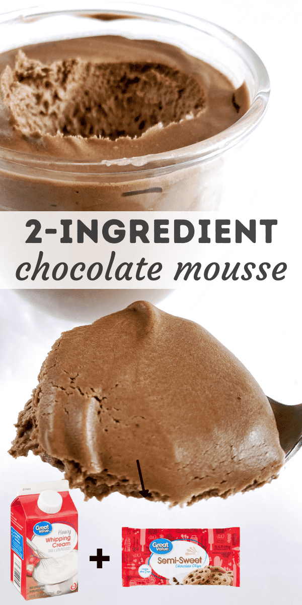 Easy 2-Ingredient Chocolate Mousse Recipe