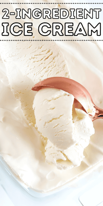 Easy 2-Ingredient Vanilla Ice Cream Recipe - Mom Spark